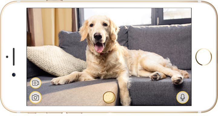 Furbo dog camera